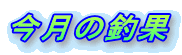̒މ